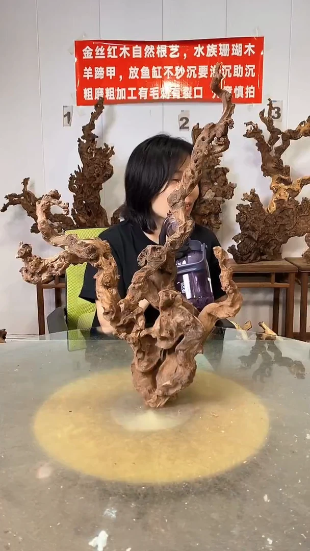 香榧木王*金丝红木   羊蹄甲