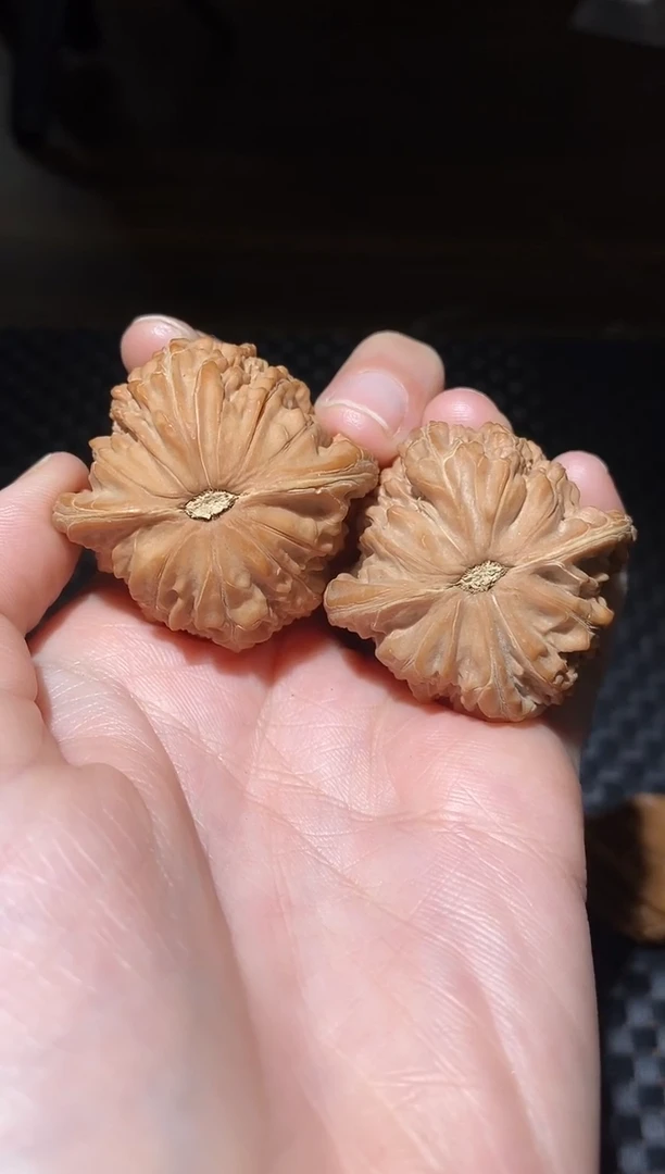 把件文玩核桃也*全品红皮磨盘39尺