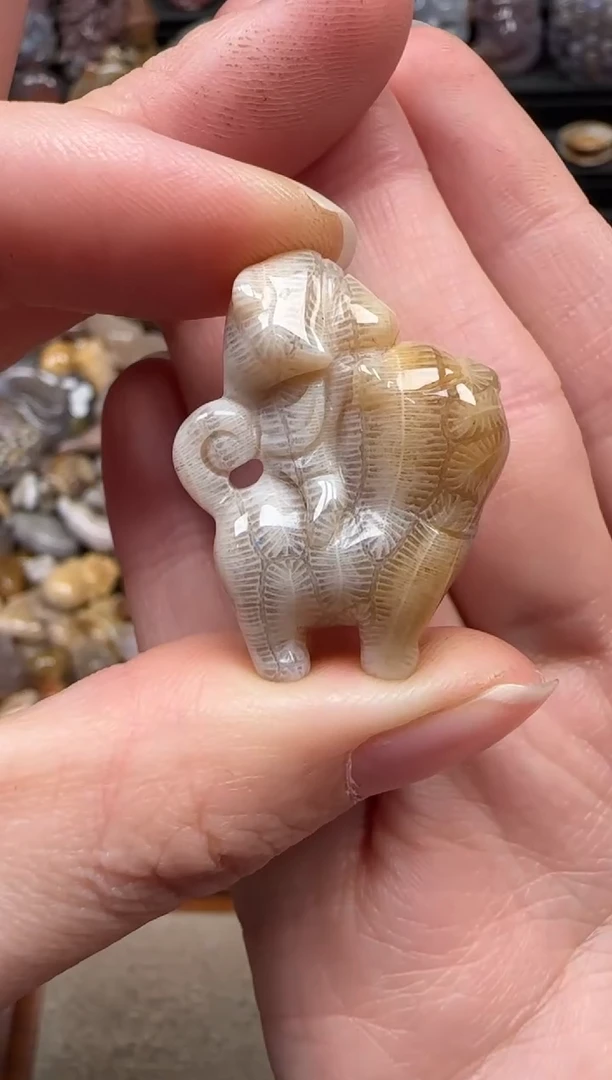 颈饰未镶嵌硅化珊瑚（珊瑚玉）868