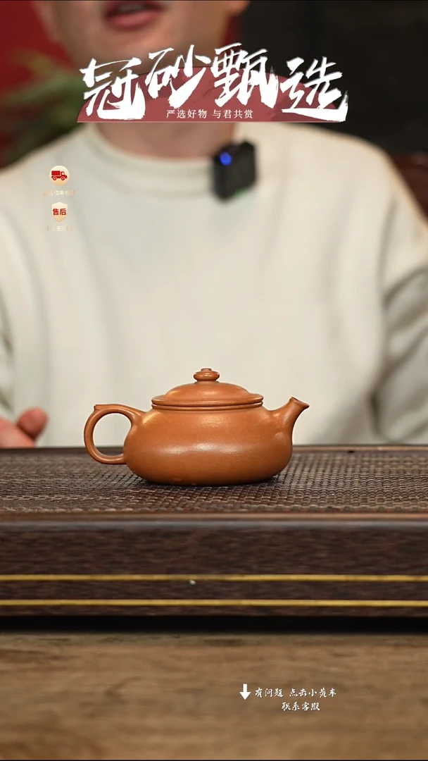 【闪购商品】紫砂茶壶冠砂甄选19