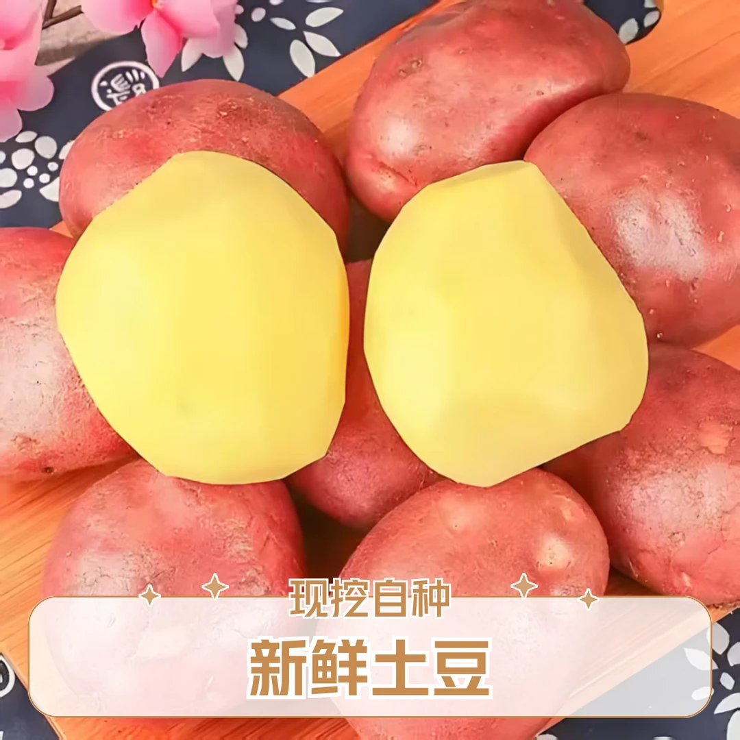 云南红皮土豆新鲜起皮现挖现发洋芋自种原生态马铃薯花青素老土豆