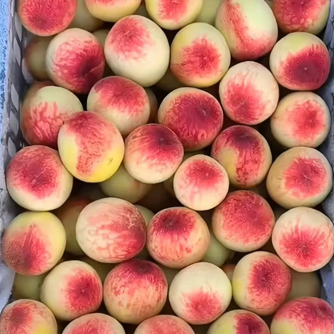 四川小白桃毛桃京东发货