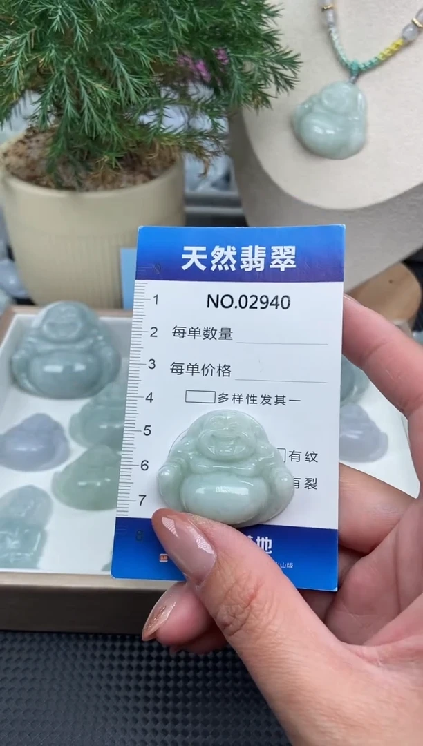 颈饰未镶嵌翡翠纯天然A货翡翠2940
