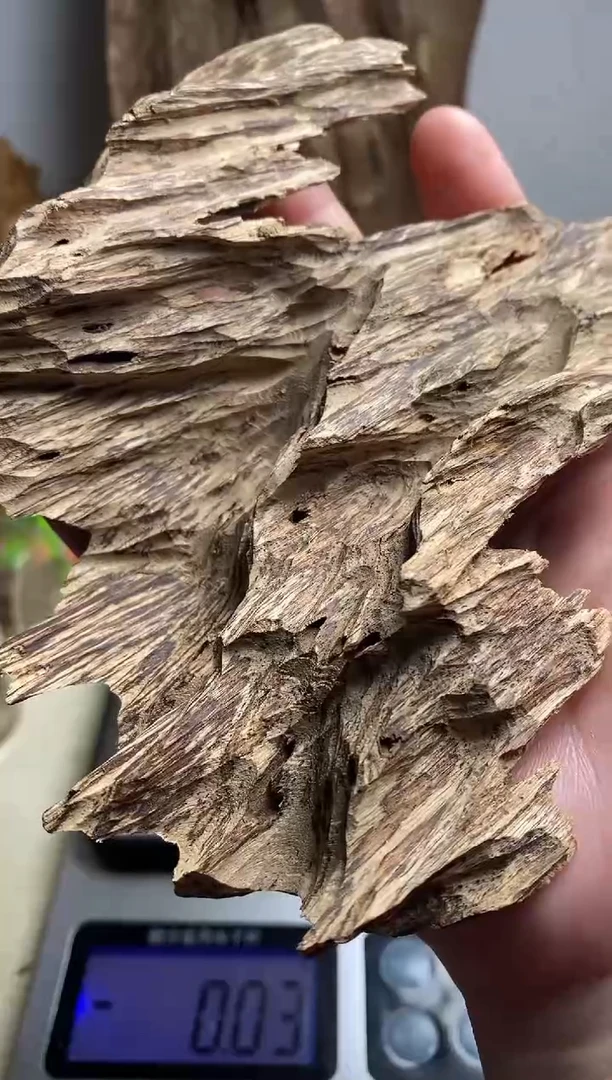 【闪购商品】沉香手把件柬埔寨沉香原料38克