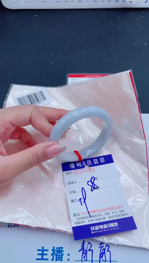 未镶嵌手镯翡翠
