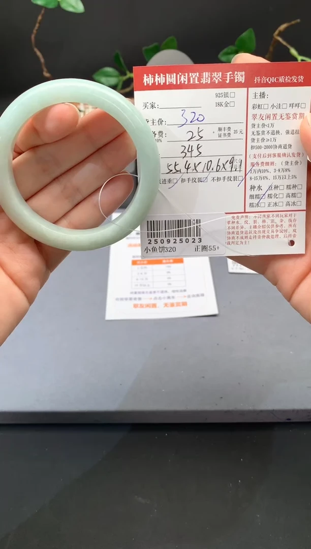 未镶嵌手镯翡翠姐姐250925023