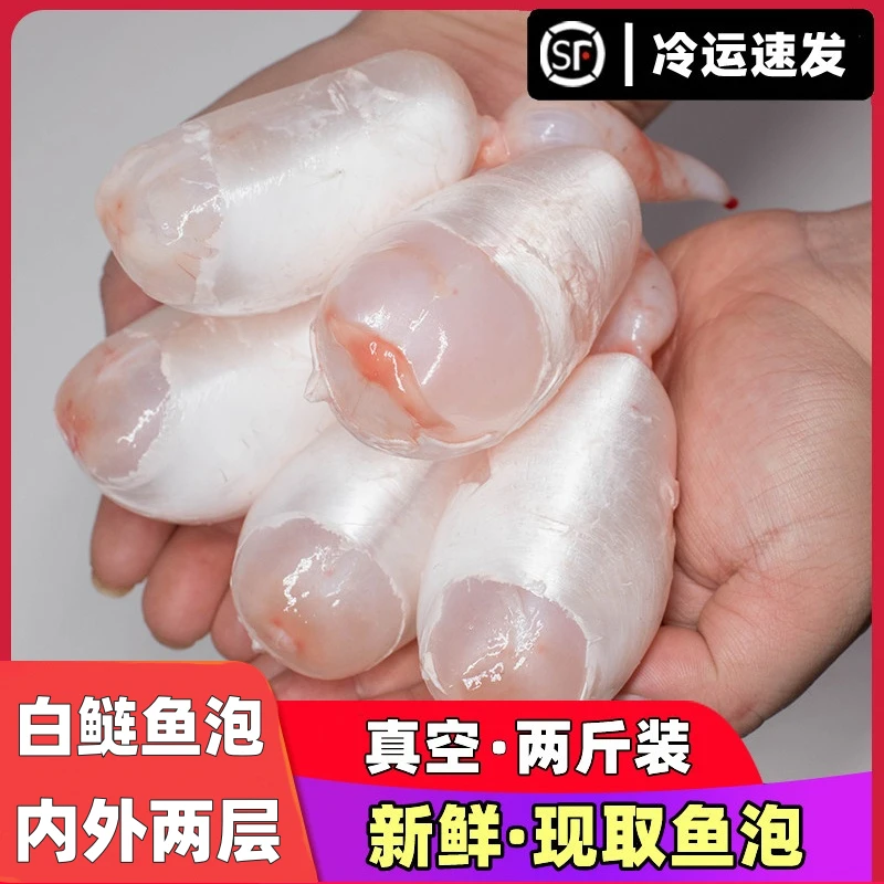 新鲜鱼泡鱼肚现杀白鲢泡草鱼鱼杂淡水鱼鳔花胶鱼胶冷冻2斤装冷链