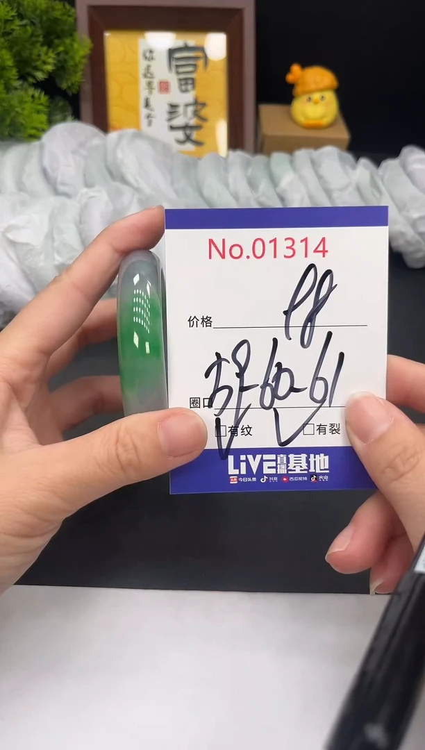 未镶嵌手镯翡翠拍下以实物为准1314
