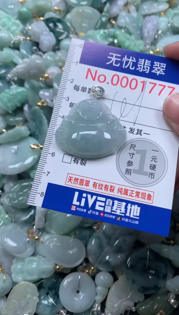 颈饰未镶嵌翡翠1777