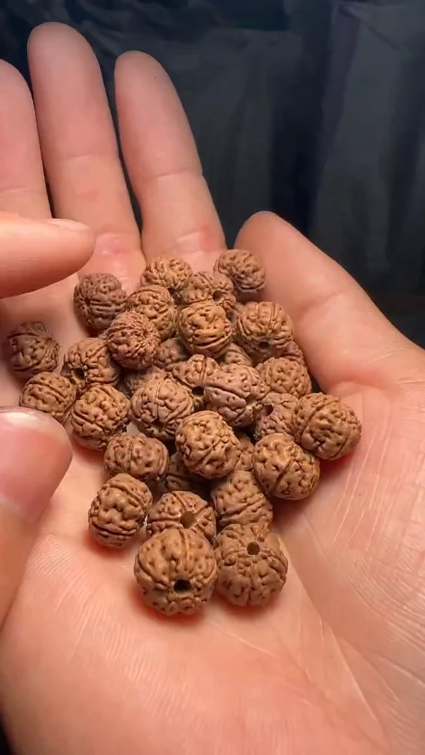 金刚菩提手串非全品老树王散籽10-11mm一份一百颗