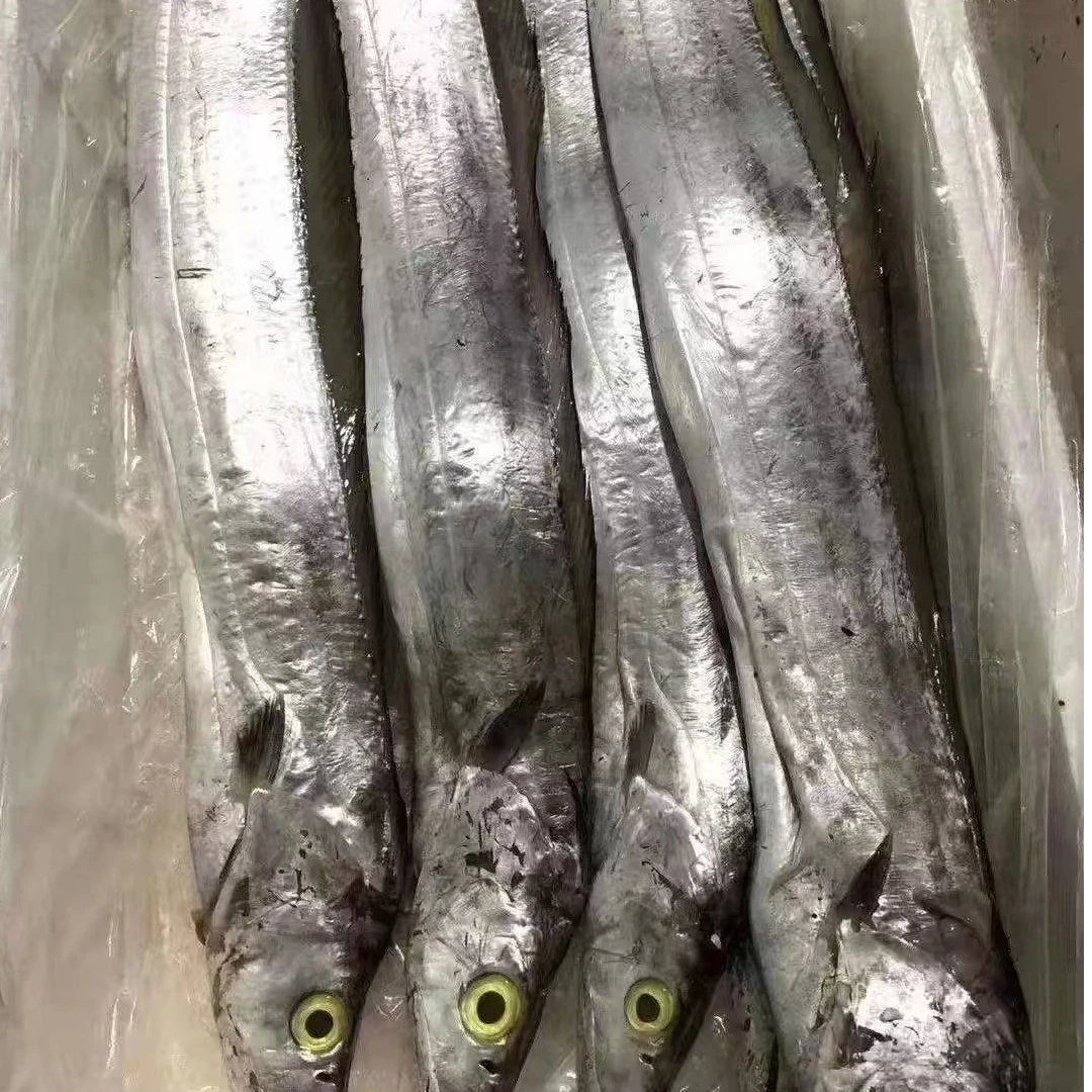 带鱼（500g）