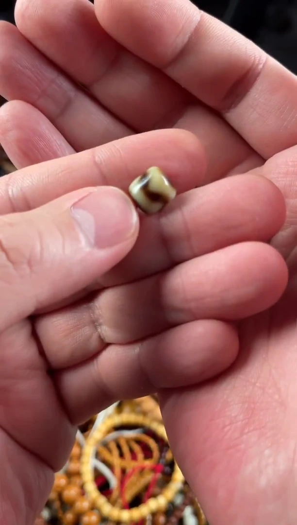 未镶嵌.玛瑙/玉髓王胖子文玩工作室虎牙单颗随机发