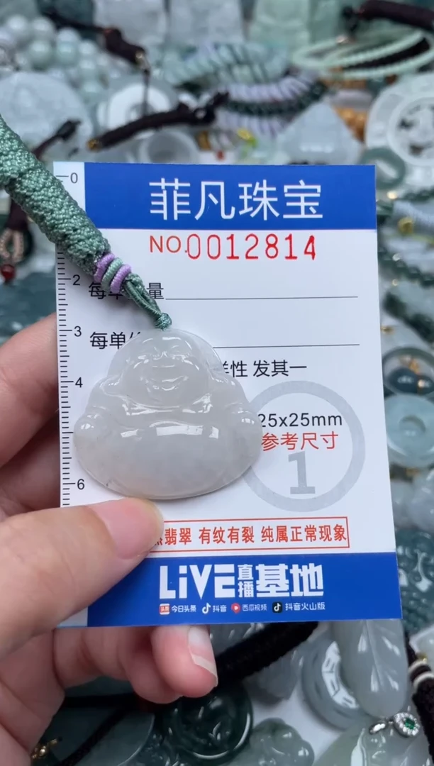颈饰未镶嵌翡翠12814