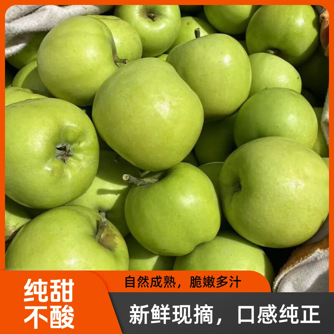 【云南青香蕉苹果】云南现摘成熟青苹果当季甜脆爽口新鲜水果