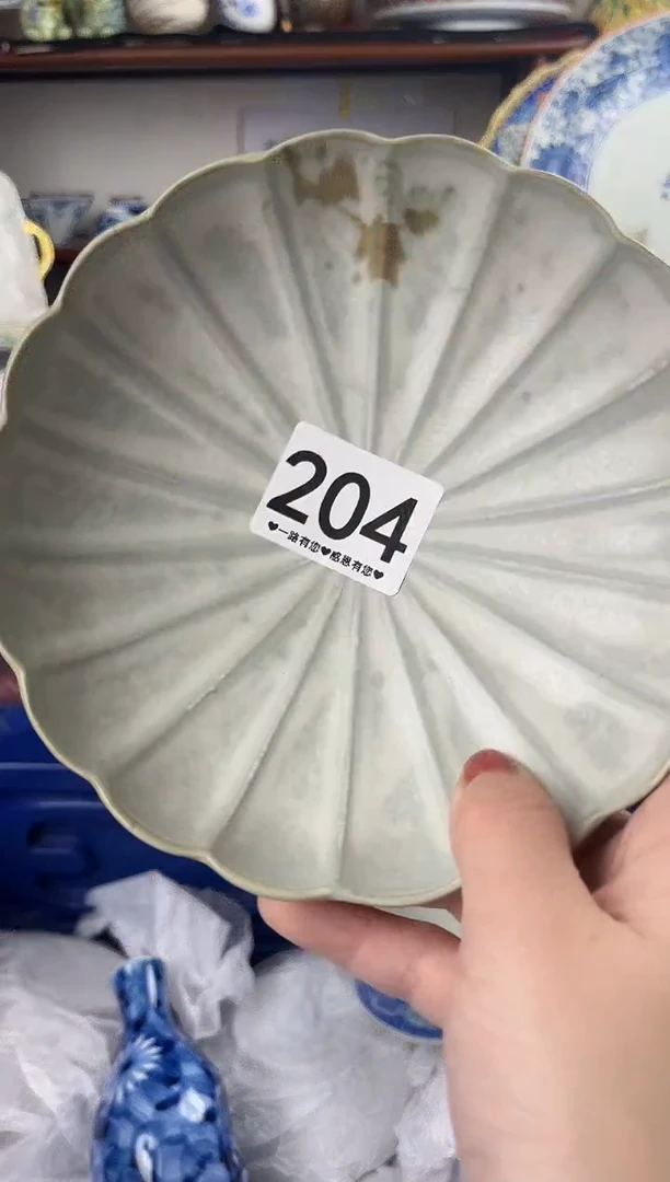 瓷片204...........