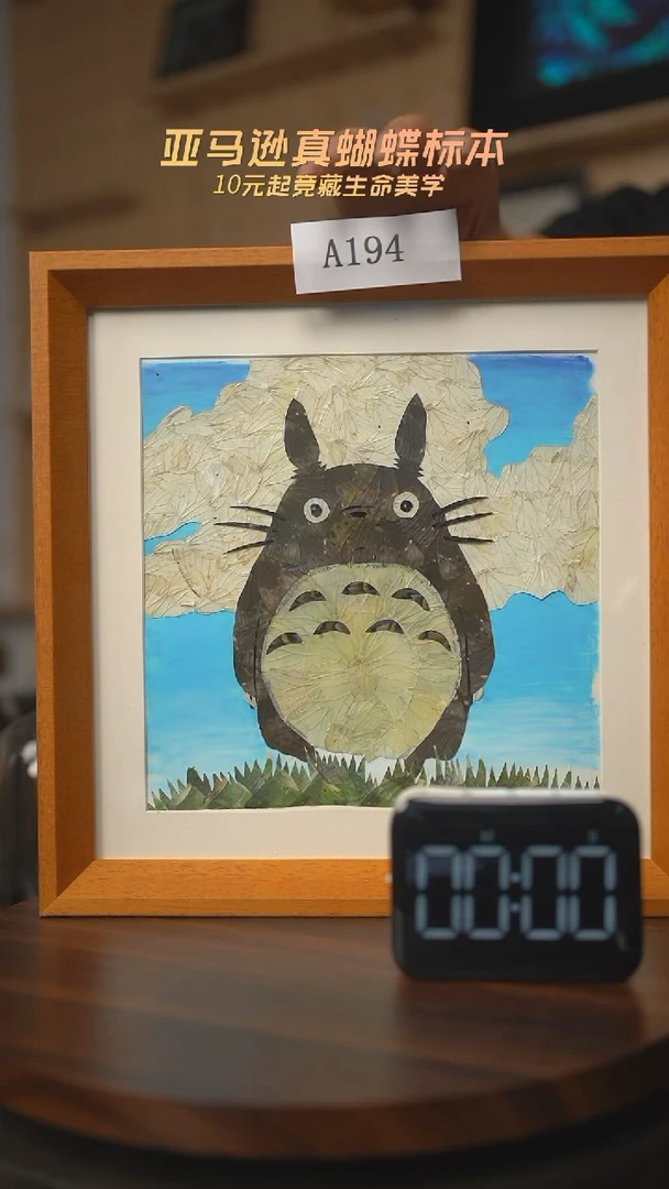 有机玻璃龙猫蝶翅画A194