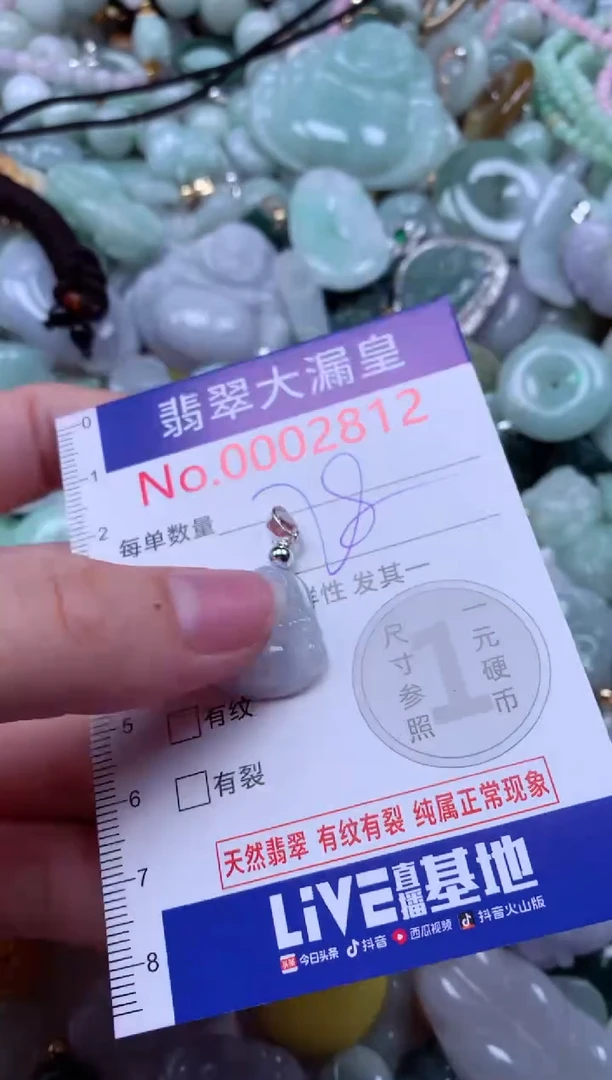 翡翠未镶嵌吊坠(不含链)2812
