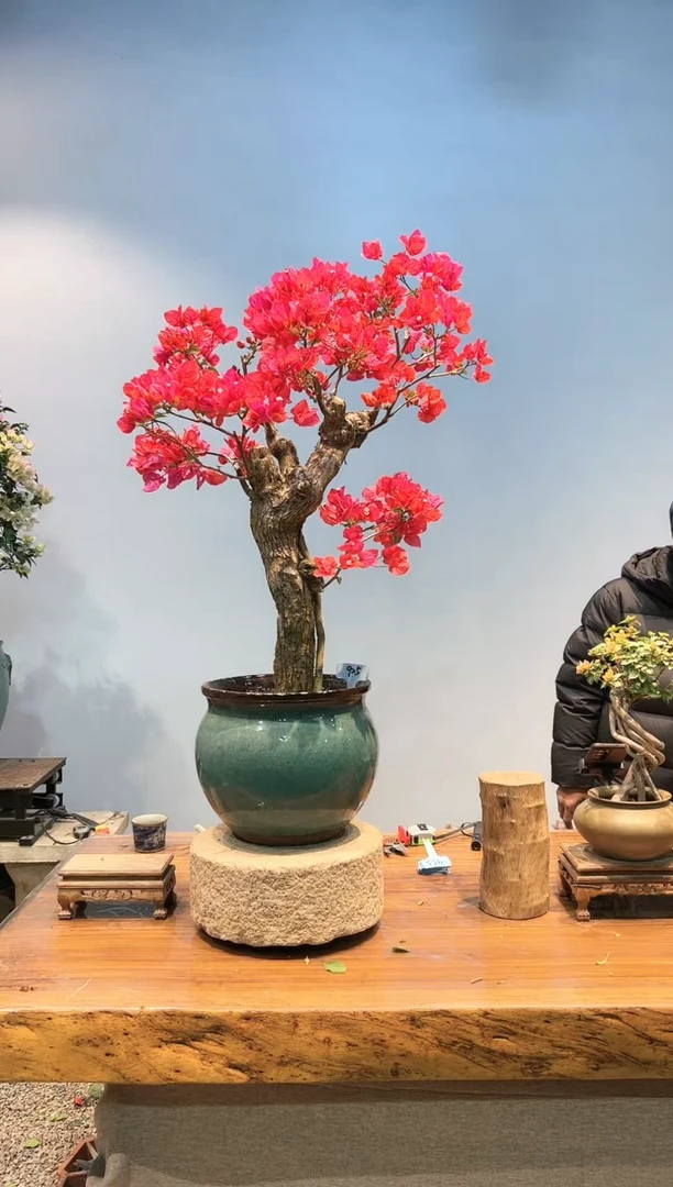 【闪购商品】AA925