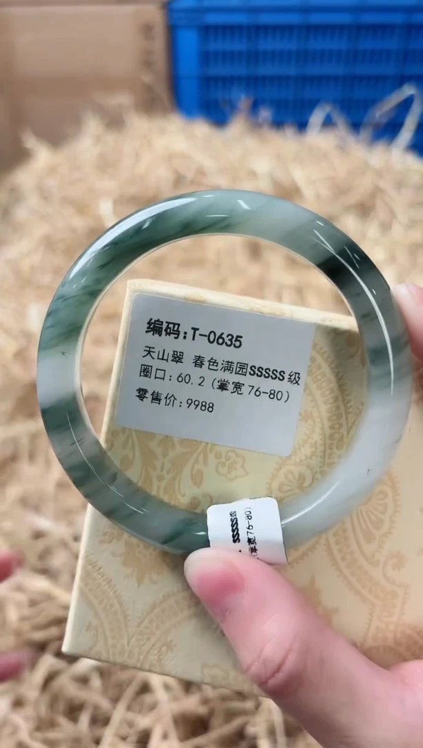 未镶嵌手镯石英质玉T-0635