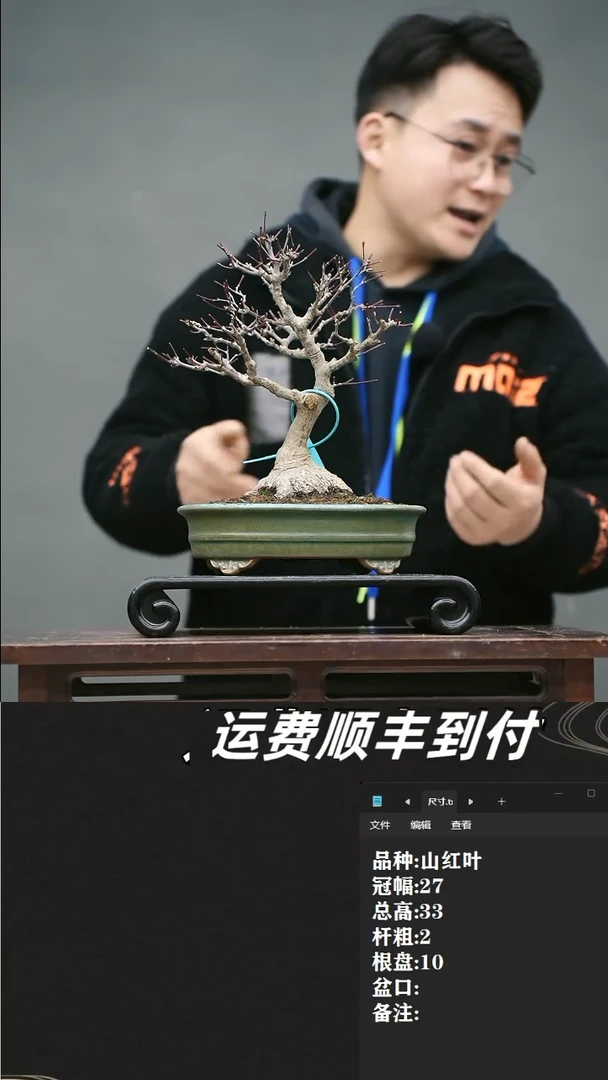 【闪购商品】10  山红叶