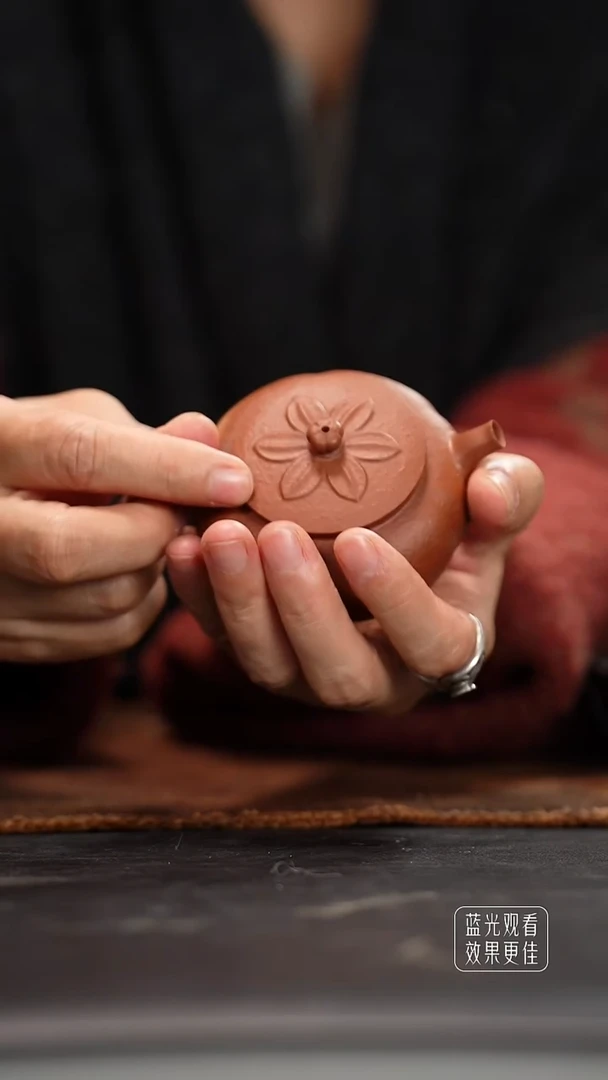 新莲蒲16目老朱砂100cc