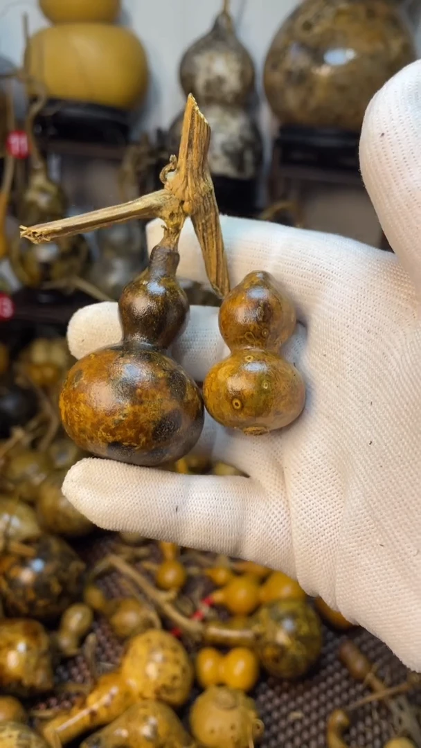 【闪购商品】葫芦葫芦葫芦葫芦