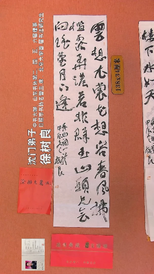 【闪购商品】书法130    徐树良书法作品