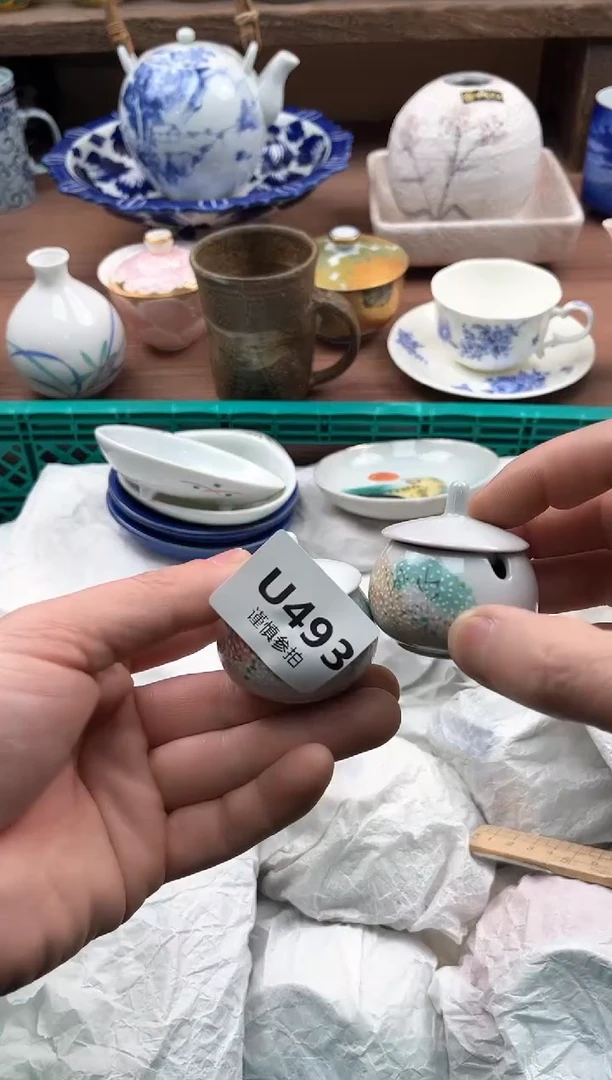 【闪购商品】瓷片493