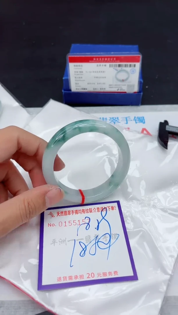 未镶嵌手镯翡翠11111