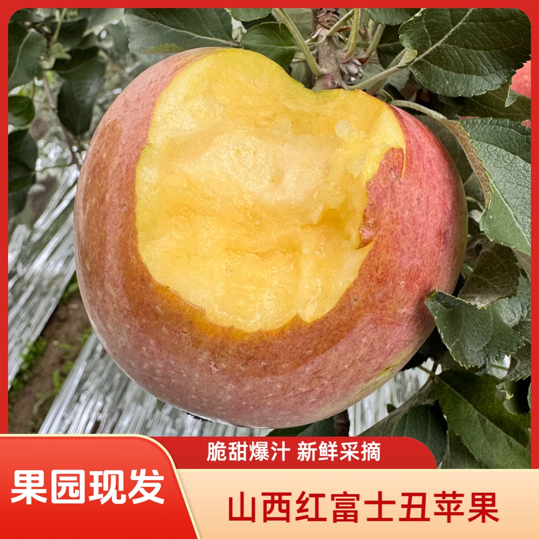 山西红富士临猗冰糖心苹果宝宝辅食孕妇放心吃新鲜水果脆甜多汁