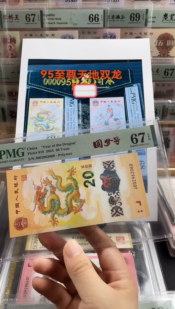 塑料小龙钞圆梦号67分