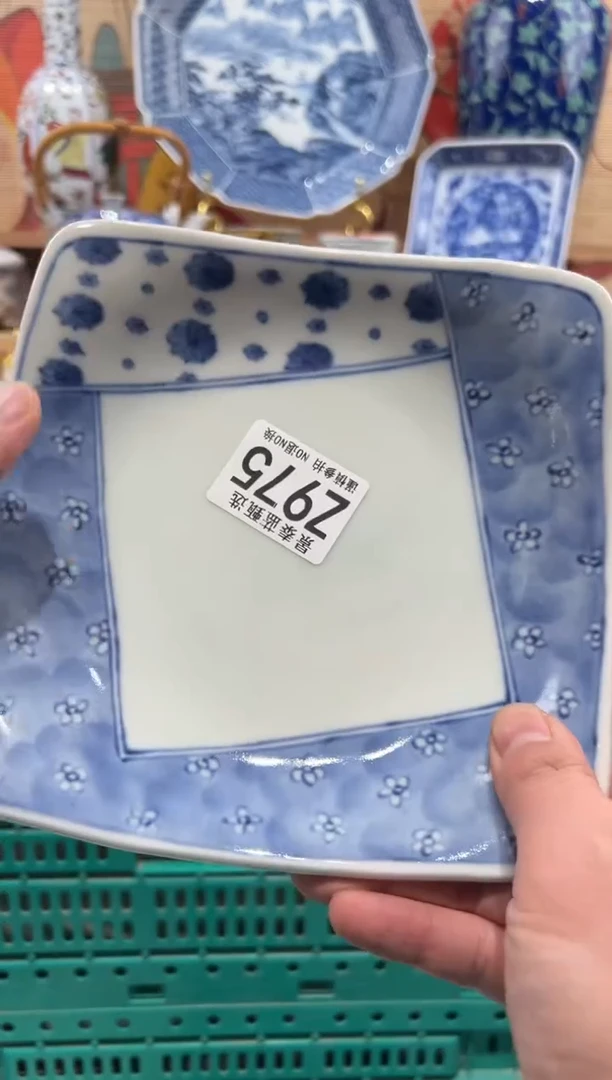 瓷片豆****脑瓷片-------Z975