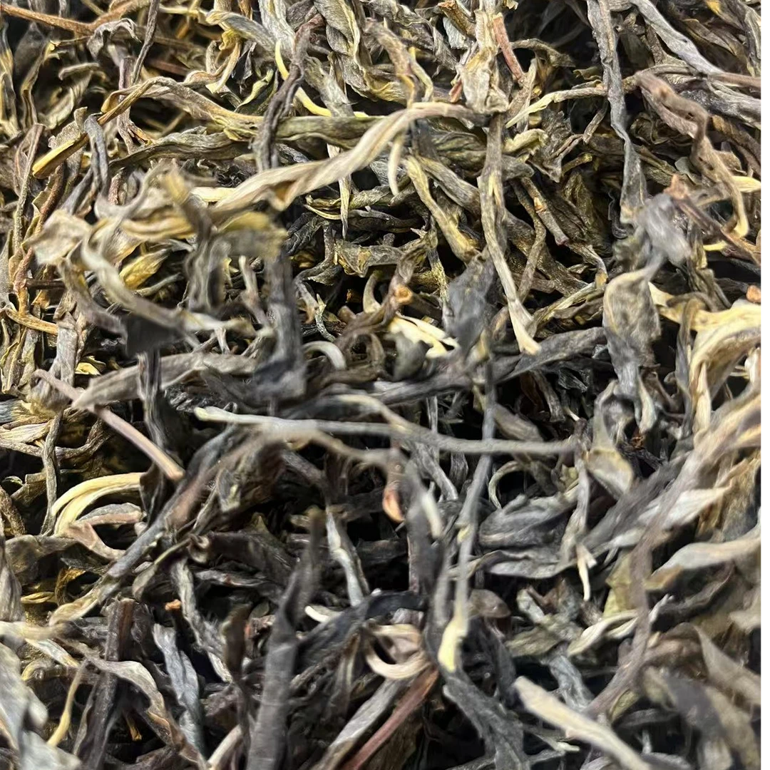 2025年 薄荷塘二类高杆 古树 普洱茶 散茶（生茶 ）【带茶样】