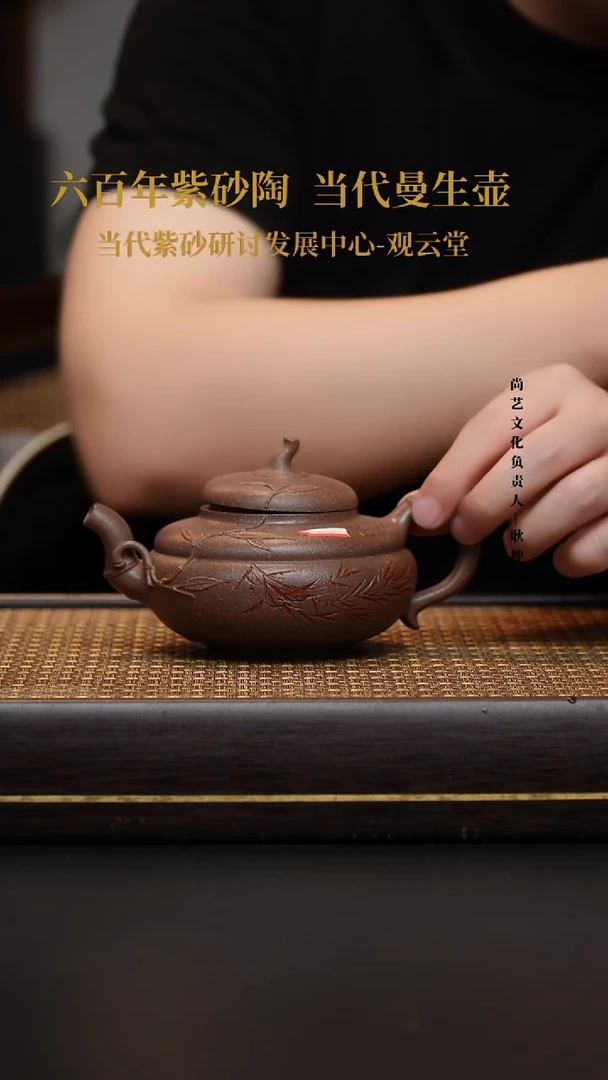 茶壶紫砂壶45 金砂玉段 300