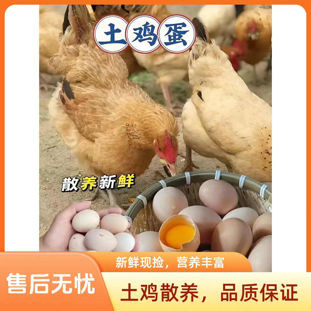 【主播福利】生态散养农家土鸡蛋到手十五枚 个头较小介意勿拍