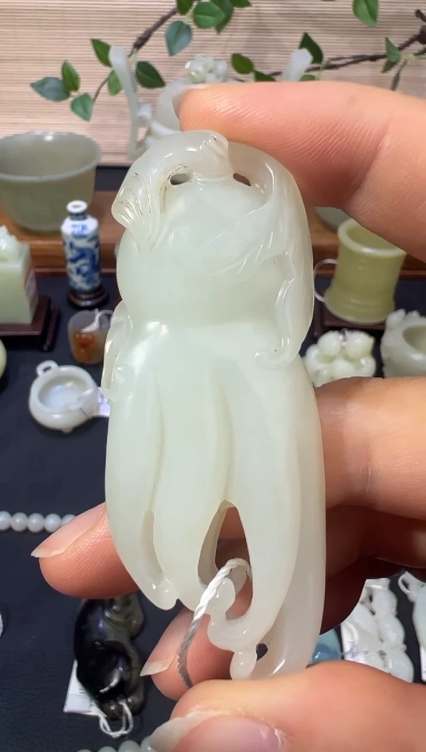 金咕*哒8888888888