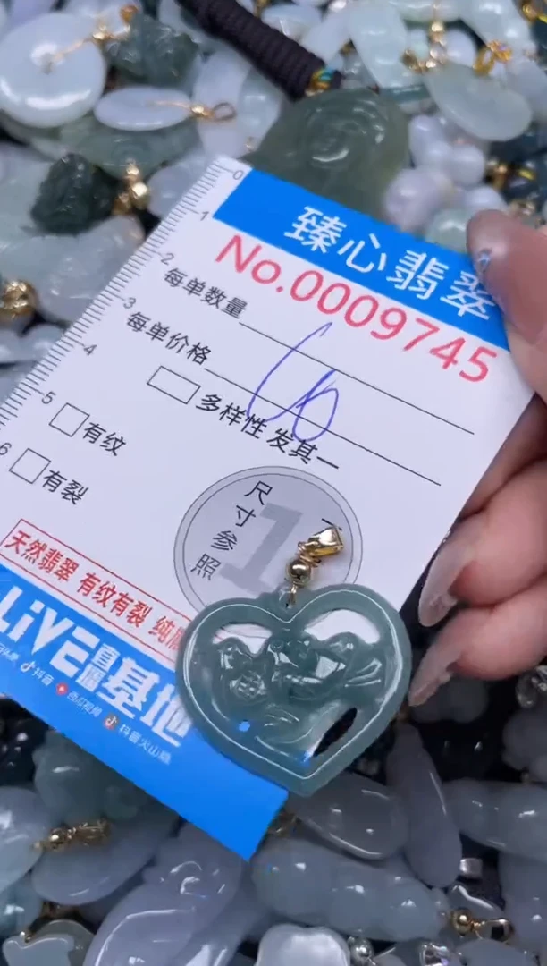 颈饰未镶嵌翡翠9745