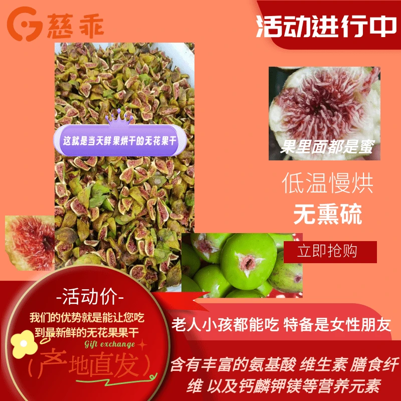 慈乖特级威海特产青皮无花果干 鲜切无花果干  威海无花果干 无糖