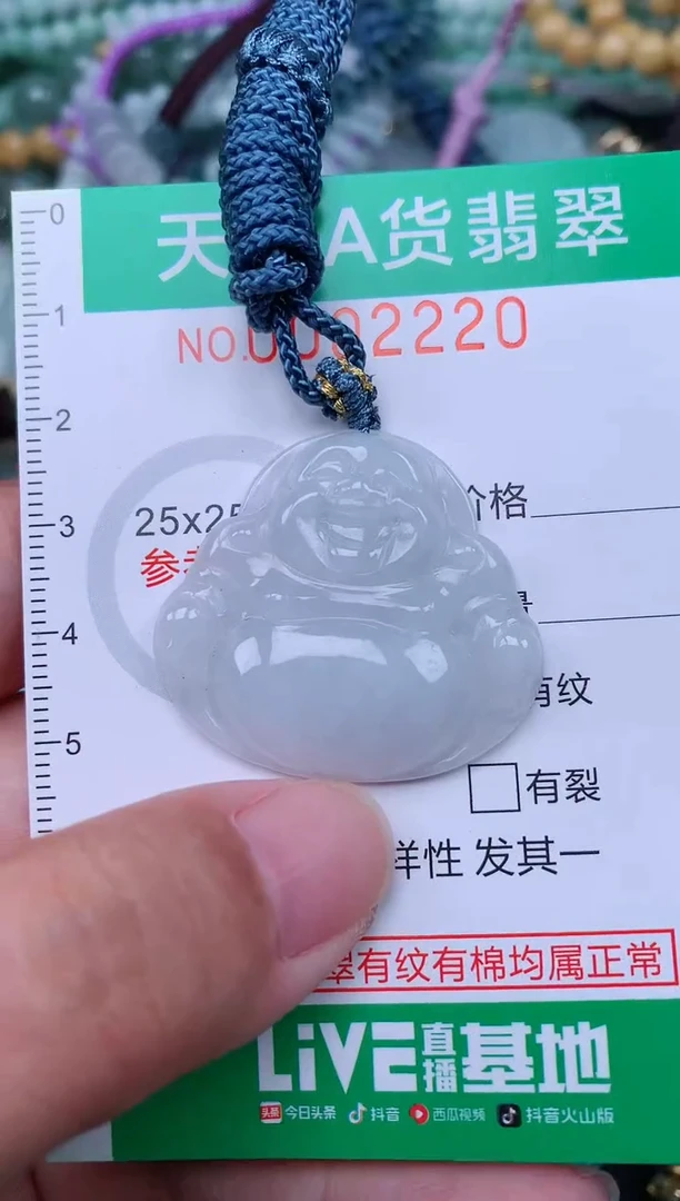 翡翠未镶嵌颈饰.0002220