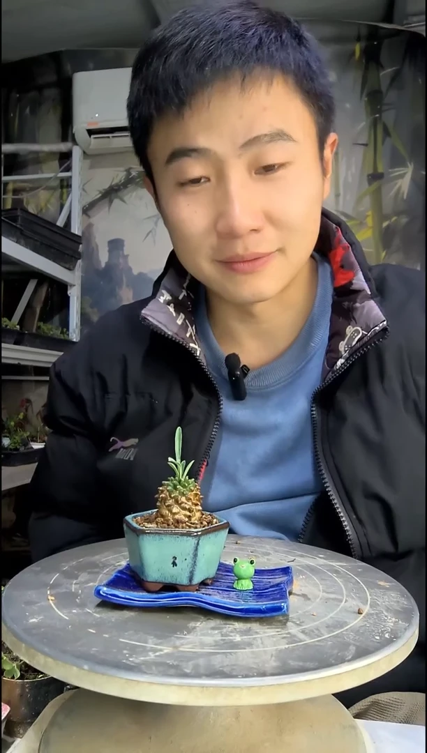 ヽ****?中青园艺一物一拍91