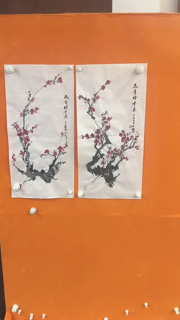【闪购商品】国画邓丽梅小梅花绘画作品不同画面