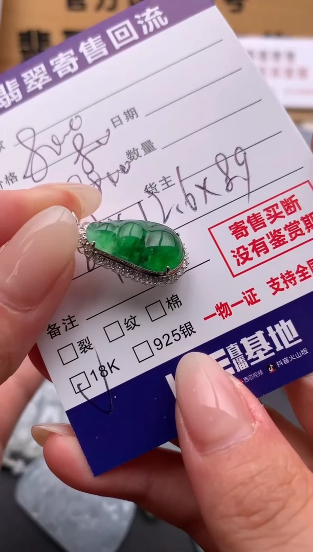 翡翠18K金镶嵌颈饰10134839