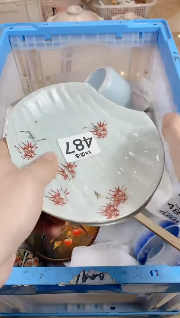 【闪购商品】瓷片487 定向 饱饱星球 定向 饱饱星球