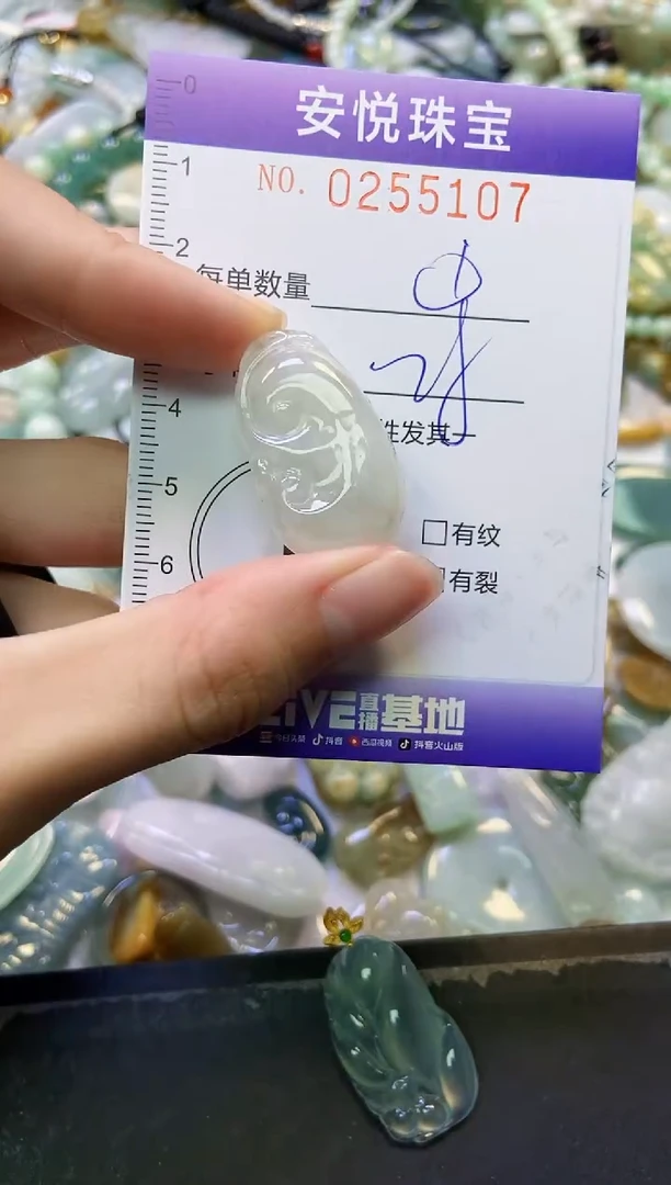 颈饰未镶嵌翡翠闪购0255107