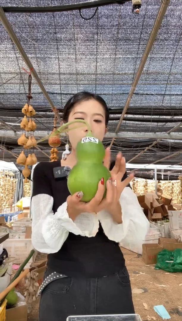 225天然葫芦摆件 一物一拍龙头不保售后