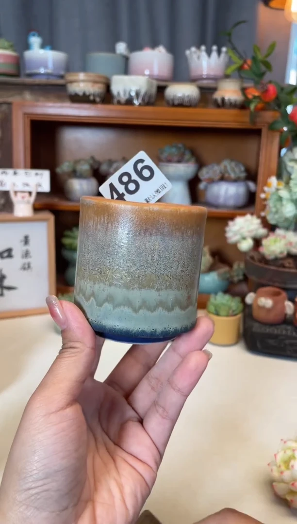 瓷片486知木小芳花盆