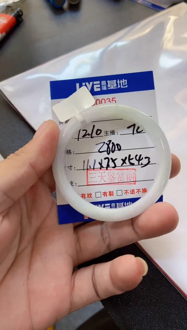 未镶嵌手镯翡翠16