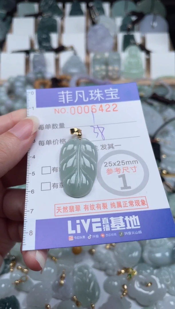 翡翠未镶嵌颈饰00..6422