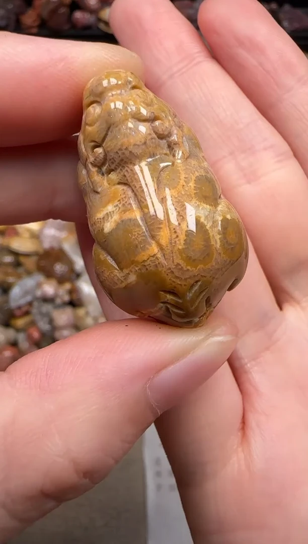 硅化珊瑚（珊瑚玉）未镶嵌颈饰644