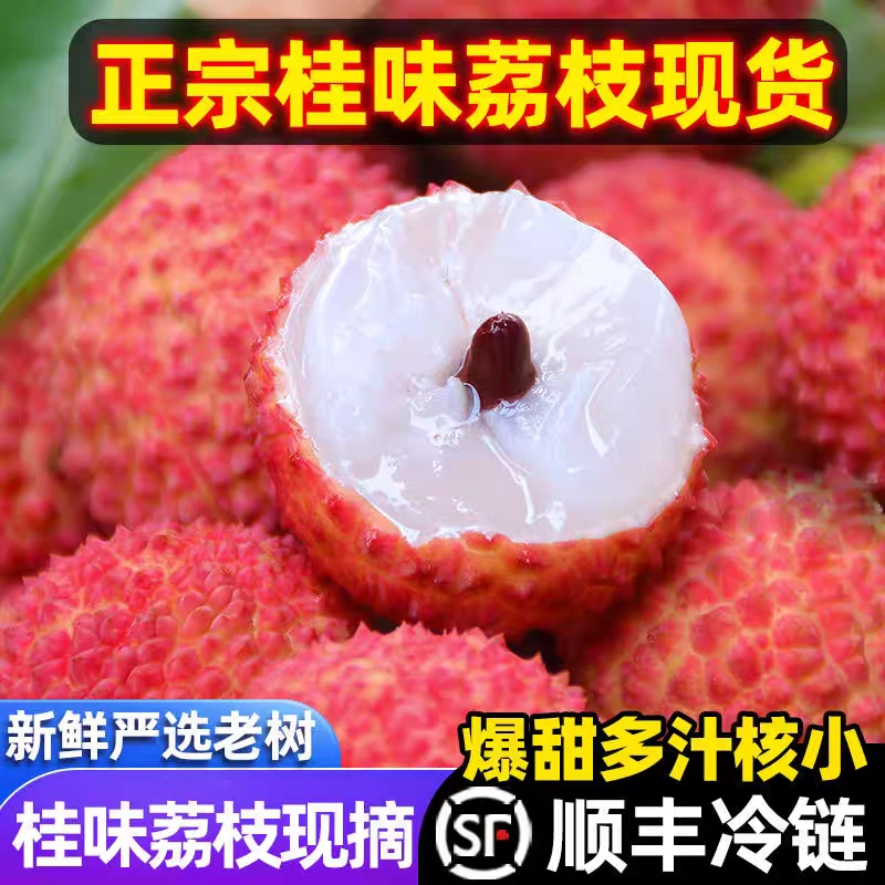 【顺丰冷链直达】现摘现发广东高州老树桂味荔枝现摘现发水果